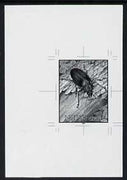 Tonga - Niuafo'ou 1991 Adult in Treetrunk 2p50 (from Longhorned Beetle set) B&W photographic Proof as SG 130