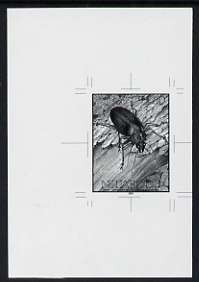 Tonga - Niuafo'ou 1991 Adult in Treetrunk 2p50 (from Longhorned Beetle set) B&W photographic Proof as SG 130