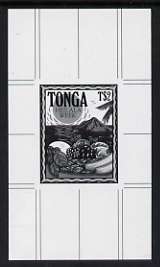 Tonga 1991 Pile of Fruit 2p (from Heilala Week set) B&W photographic proof, scarce thus, as SG 1132