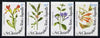 St Kitts-Nevis 1979 Flowers (1st Series) set of 4 unmounted mint, SG 417-20