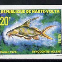 Upper Volta 1979 Freshwater Fish 20f Volta Squeaker unmounted mint imperf single, as SG 520