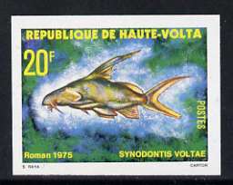 Upper Volta 1979 Freshwater Fish 20f Volta Squeaker unmounted mint imperf single, as SG 520