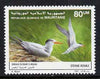 Mauritania 1988 Royal Terns 80um from Fishes and Birds set, unmounted mint SG 900