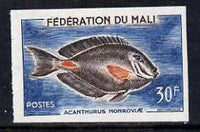 Mali 1960 30f Monrovian Surgeonfish unmounted mint imperf single as SG 8