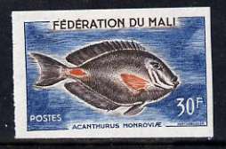 Mali 1960 30f Monrovian Surgeonfish unmounted mint imperf single as SG 8