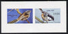 Abkhazia 1995 Birds (Tits) imperf souvenir sheet containing 2 values unmounted mint