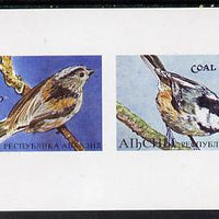 Abkhazia 1995 Birds (Tits) imperf souvenir sheet containing 2 values unmounted mint