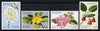 Mauritius 1977 Indigenous Flowers set of 4 unmounted mint, SG 519-522