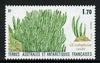 French Southern & Antarctic Territories 1988 Elephant Grass 1f 70 unmounted mint, SG 232