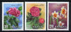 Taiwan 1988 Flowers (4th series) set of 3 unmounted mint, SG 1829-31