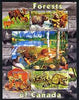 Kyrgyzstan 2004 Fauna of the World - Forests of Canada perf sheetlet containing 6 values cto used