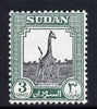 Sudan 1951-61 Giraffe 3m unmounted mint, SG 125