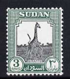 Sudan 1951-61 Giraffe 3m unmounted mint, SG 125