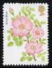 Great Britain 1976 Centenary of Royal National Rose Society 13p with face value omitted, a,'Maryland' perf 'unused' forgery, as SG 1009a - the word Forgery is either handstamped or printed on the back and comes on a presentation c……Details Below
