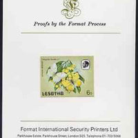 Lesotho 1984 Butterflies African Migrant 6s imperf proof mounted on Format International proof card as SG 568