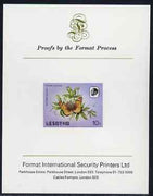 Lesotho 1984 Butterflies Suffused Acraea 10s imperf proof mounted on Format International proof card as SG 570