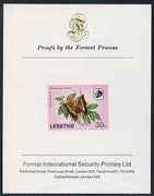 Lesotho 1984 Butterflies Foxy Charaxes 30s imperf proof mounted on Format International proof card as SG 573