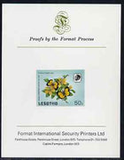 Lesotho 1984 Butterflies Broad-Bordered Grass Yellow 50s imperf proof mounted on Format International proof card as SG 574