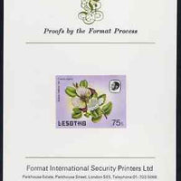 Lesotho 1984 Butterflies Queen Purple Tip 75s imperf proof mounted on Format International proof card as SG 576