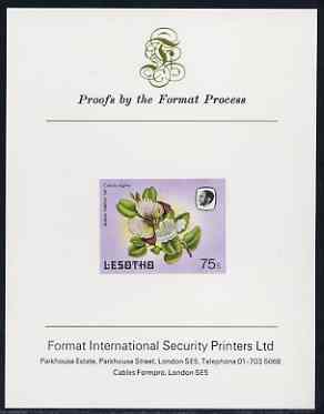 Lesotho 1984 Butterflies Queen Purple Tip 75s imperf proof mounted on Format International proof card as SG 576
