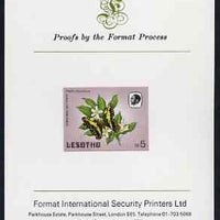 Lesotho 1984 Butterflies Christmas Butterfly 5m (top value) imperf proof mounted on Format International proof card as SG 578