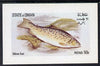 Oman 1972 Fish (Gilleroo Trout) imperf souvenir sheet (50b value) unmounted mint