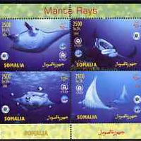 Somalia 2004 Manta Rays perf sheetlet containing 4 values unmounted mint