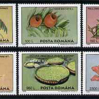 Rumania 1995 Plants from Bucharest Botanical Gardens perf set of 6 unmounted mint, SG 5771-76