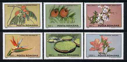 Rumania 1995 Plants from Bucharest Botanical Gardens perf set of 6 unmounted mint, SG 5771-76