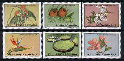Rumania 1995 Plants from Bucharest Botanical Gardens perf set of 6 unmounted mint, SG 5771-76