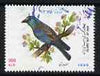 Iran 1996 Blue-headed bird 100r fine used from New Year Festival set of 4, SG 2873