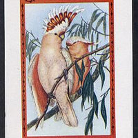 Oman 1973 Leadbeater's Cockatoo imperf souvenir sheet (2R value),unmounted mint