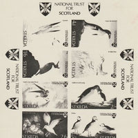 St Kilda 1968 Birds - Photographic plate as used for the production of 8-value sheetlet (produced by National Trust for Scotland) endorsed 'black' and almost certainly unique, complete with the issued sheetlet