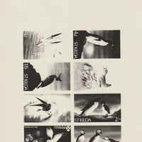 St Kilda 1968 Birds - Photographic plate as used for the production of 8-value sheetlet (produced by National Trust for Scotland) endorsed 'magenta' and almost certainly unique, complete with the issued sheetlet