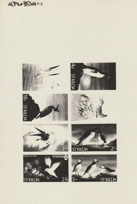 St Kilda 1968 Birds - Photographic plate as used for the production of 8-value sheetlet (produced by National Trust for Scotland) endorsed 'magenta' and almost certainly unique, complete with the issued sheetlet