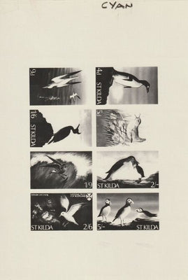St Kilda 1968 Birds - Photographic plate as used for the production of 8-value sheetlet (produced by National Trust for Scotland) endorsed 'cyan' and almost certainly unique, complete with the issued sheetlet