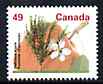 Canada 1991-96 Delicious Apple 49c (from Fruit & Nut Trees def set) unmounted mint SG 1468