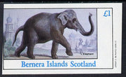 Bernera 1982 Elephant imperf souvenir sheet (£1 value) unmounted mint