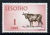 Lesotho 1971 Cattle 1c from def set unmounted mint, SG 192*