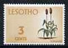 Lesotho 1971 Sorghum 3c from def set unmounted mint, SG 195