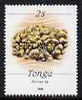 Tonga 1988-92 Porites Coral 2s (from chalky paper redrawn Marine Life def set) opt'd SPECIMEN, as SG 1000a (1990 imprint date) unmounted mint
