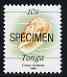 Tonga 1990-92 Bubble Cone Shell 10s (from reduced-size Marine Life set) opt'd SPECIMEN, as SG1092 (1990 imprint date) unmounted mint