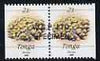 Tonga 1990-92 Porites Coral 2s (from reduced-size Marine Life set) horiz pair (ex booklets) opt'd WSP Ltd SPECIMEN, as SG 1087a (1990 imprint date)