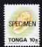 Tonga 1993-95 Bubble Cone 10s (from Marine Life def set) opt'd SPECIMEN, as SG 1221a (1995 imprint date) unmounted mint