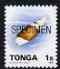 Tonga 1993-95 Chaste Mitre Shell 1s (from Marine Life def set) opt'd SPECIMEN, as SG 1218 (1993 imprint date) unmounted mint