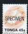 Tonga 1993-95 Giant Spider Conch Shell 45s (from Marine Life def set) opt'd SPECIMEN, as SG 1225a (1995 imprint date) unmounted mint