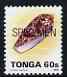Tonga 1993-95 Princely Cone Shell 60s (from Marine Life def set) opt'd SPECIMEN, as SG 1227 (1993 imprint date) unmounted mint