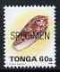 Tonga 1993-95 Princely Cone Shell 60s (from Marine Life def set) opt'd SPECIMEN, as SG 1227a (1995 imprint date) unmounted mint