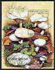 Togo 1999 Fungi perf m/sheet unmounted mint