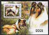 Afghanistan 1999 Dogs (Collie) perf m/sheet unmounted mint